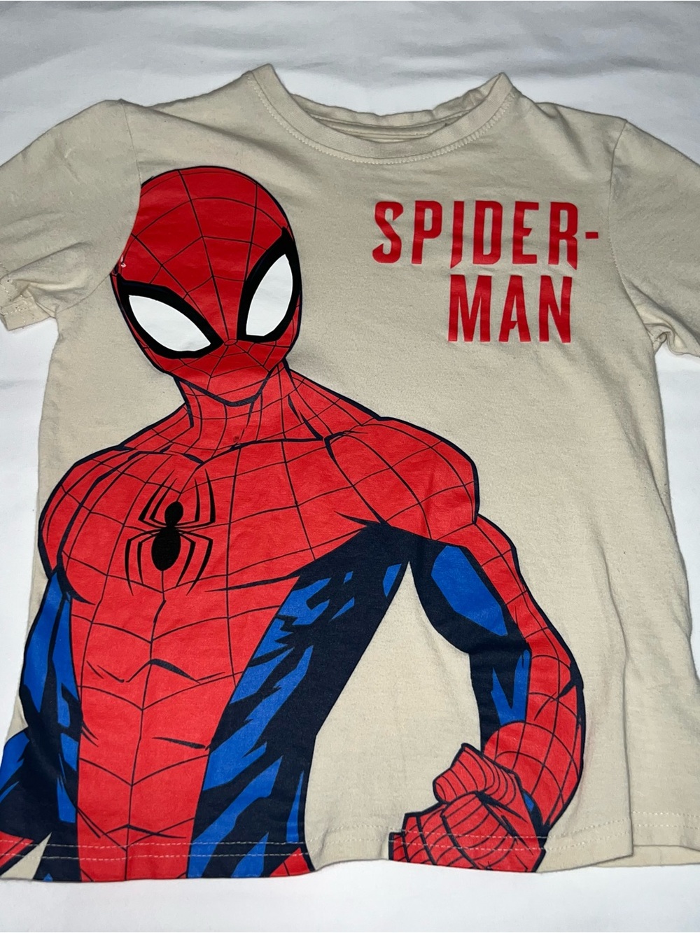 Boys Marvel Spider-Man Graphic Tee